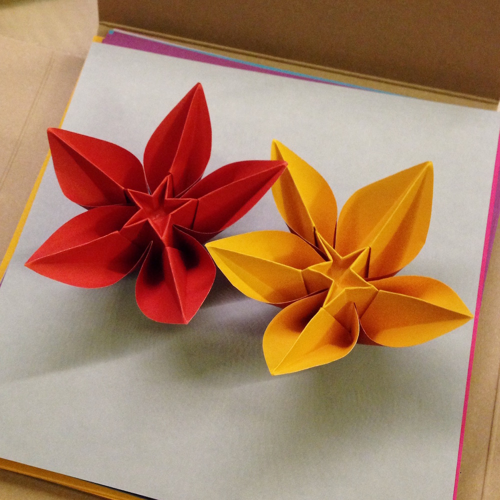 origami carambola4